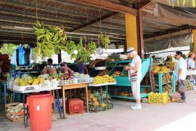Farmers' market Santa Elena, Cayo District, Belize – Best Places In The World To Retire – International Living